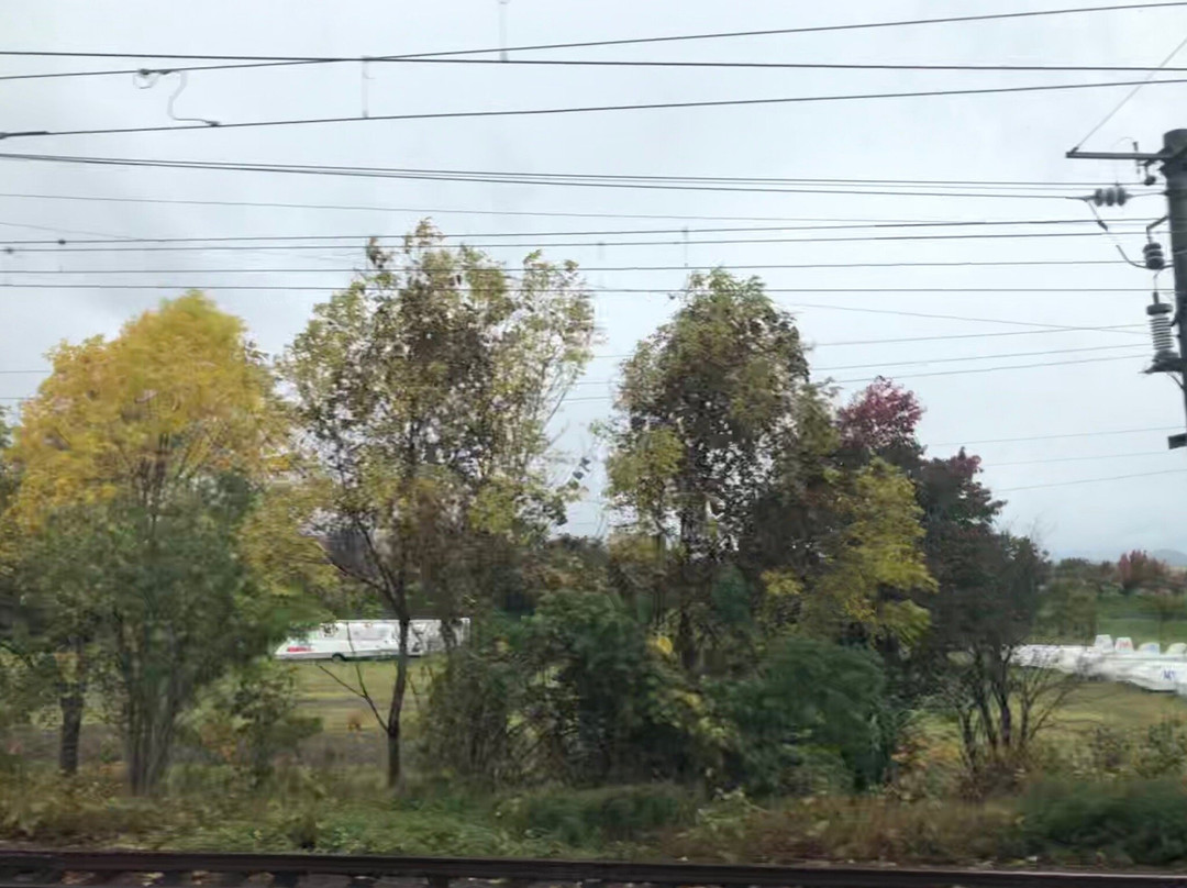 Takikawa Skypark-泷川市必去景点