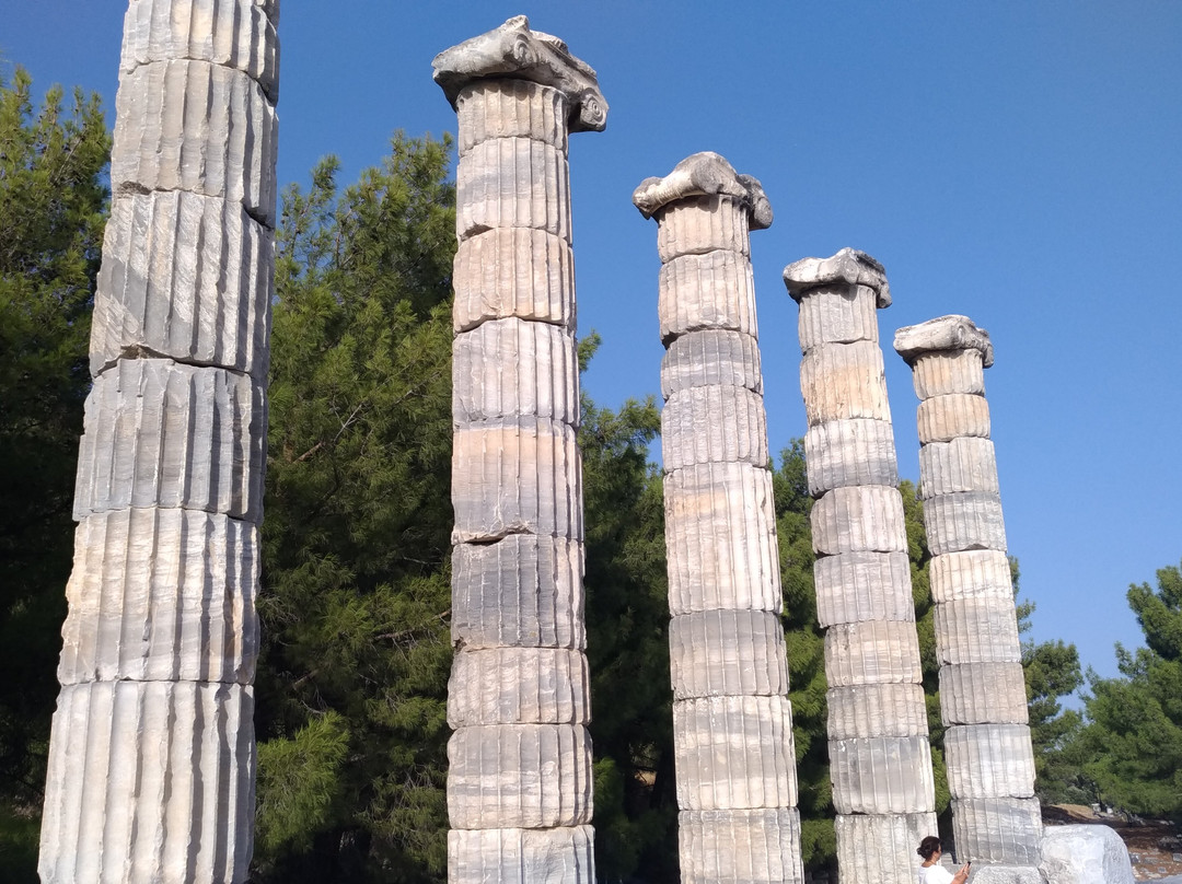 Priene Antik Kenti-Gullubahce必去景点