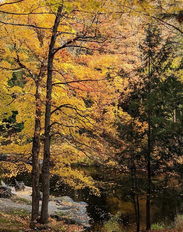 Black River Retreat主图