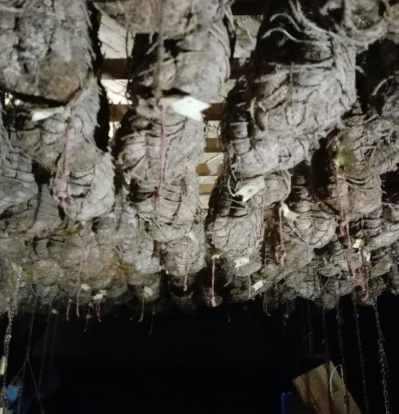 Antica Corte Pallavicina景点图片