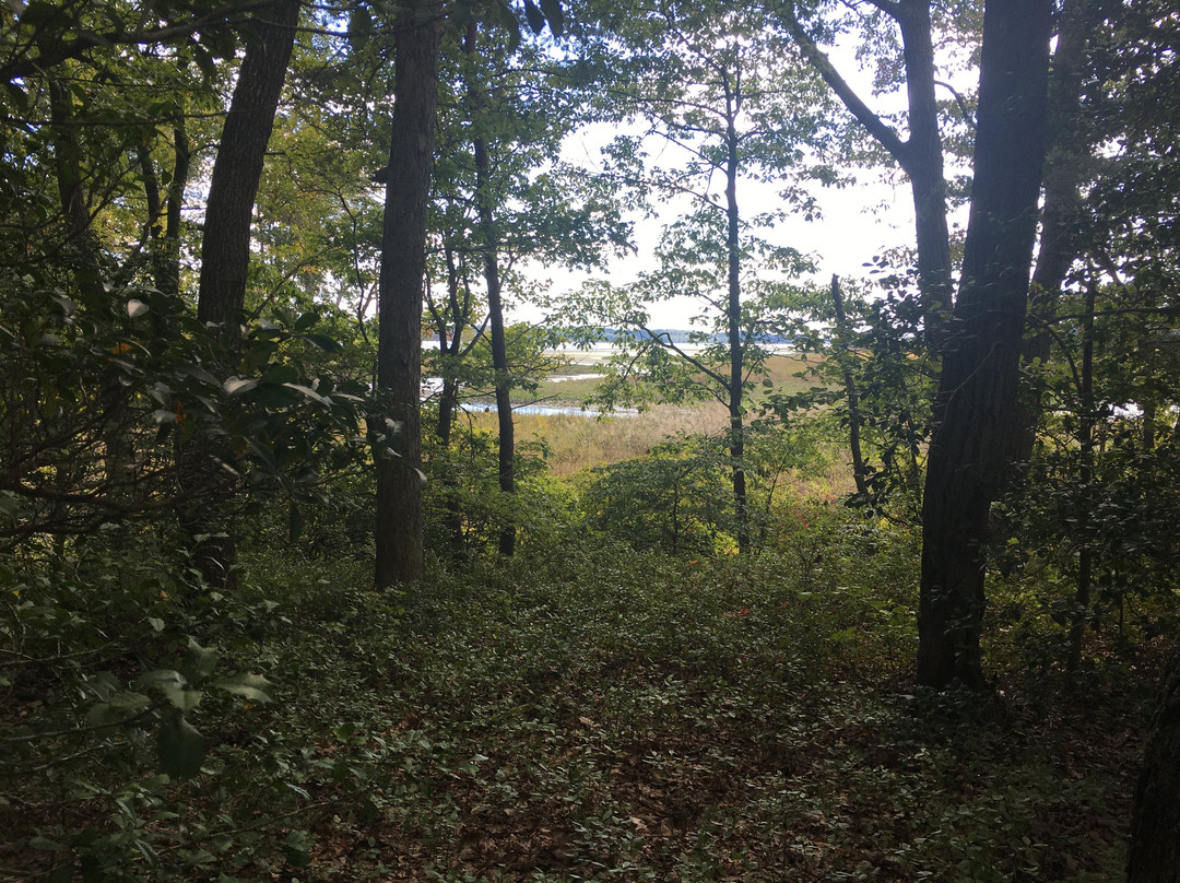 Mason Neck State Park-Lorton必去景点