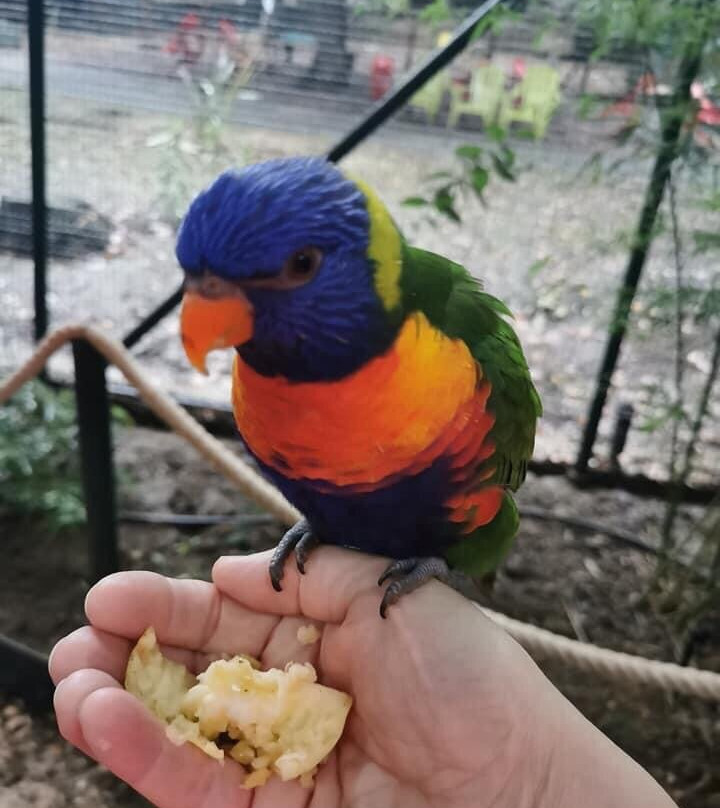 Happy Forest景点图片