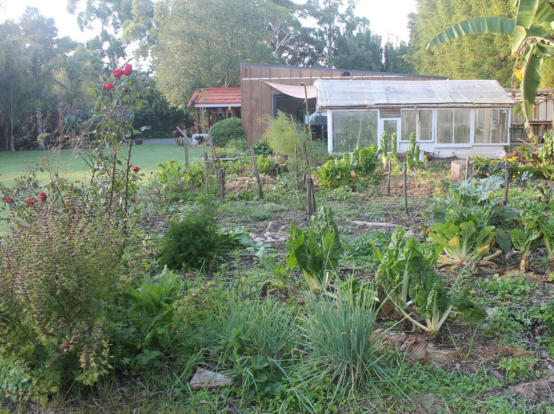 Tushita Mystery School-凯塔亚必去景点