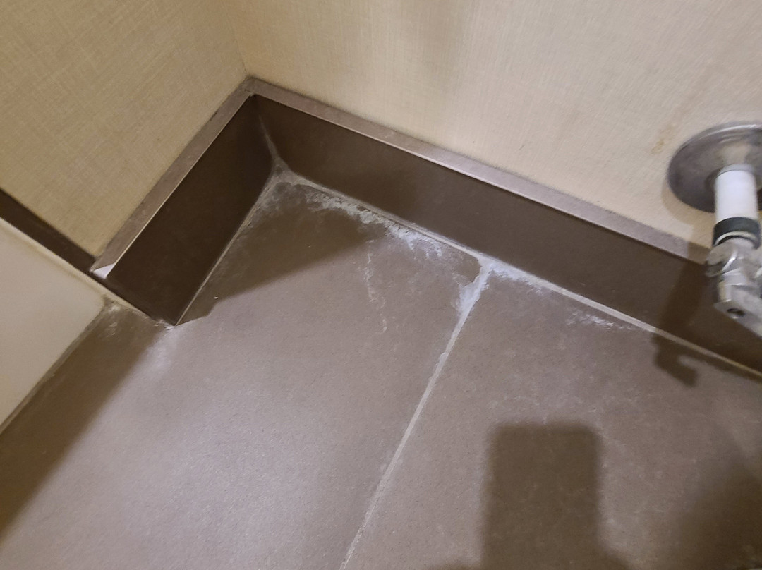 Comfort Inn & Suites主图