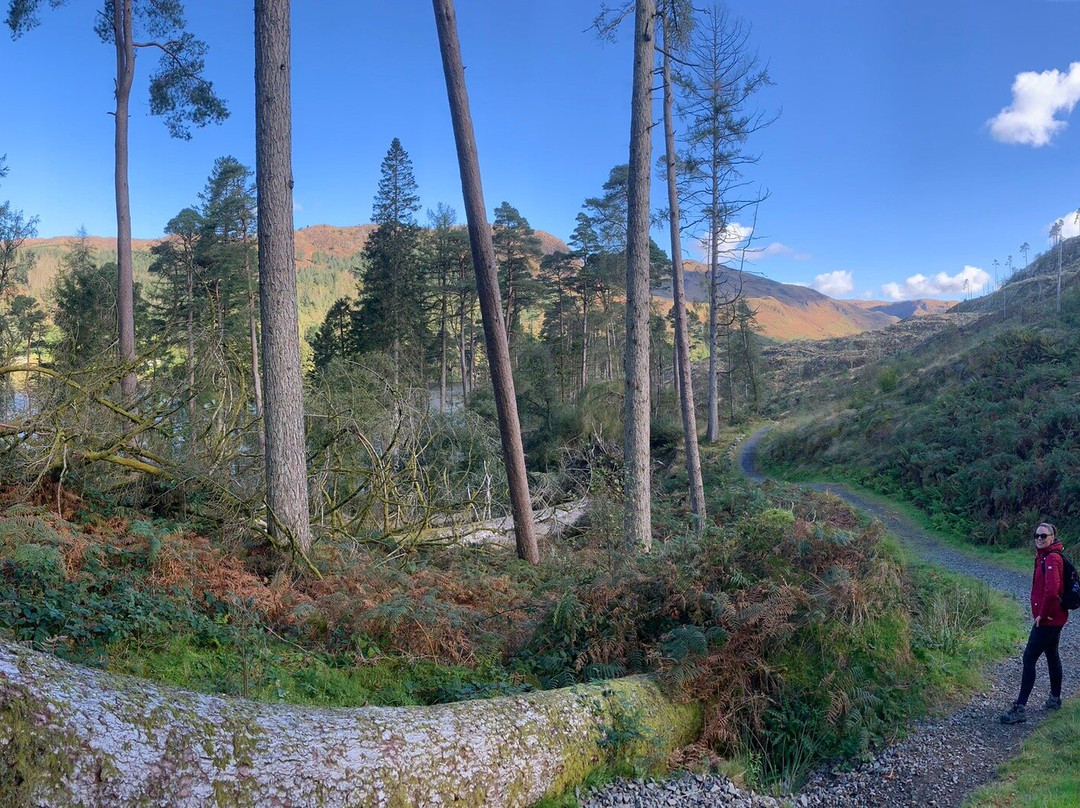 Loch Trool-Galloway Forest Park必去景点
