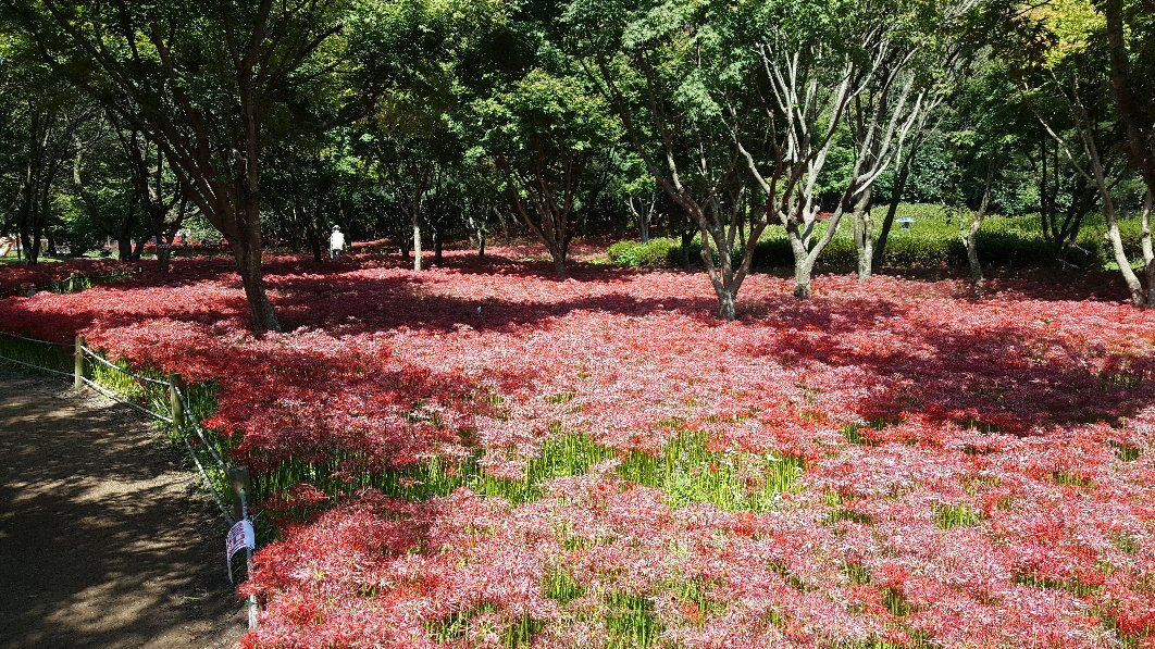 Bulgapsa Temple-灵光郡必去景点
