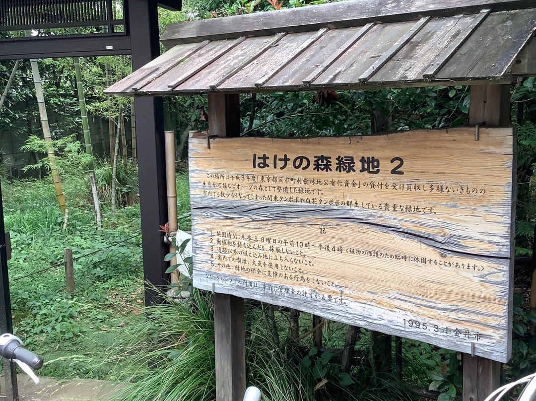 HAKE Forest Green Zone 2-小金井市必去景点