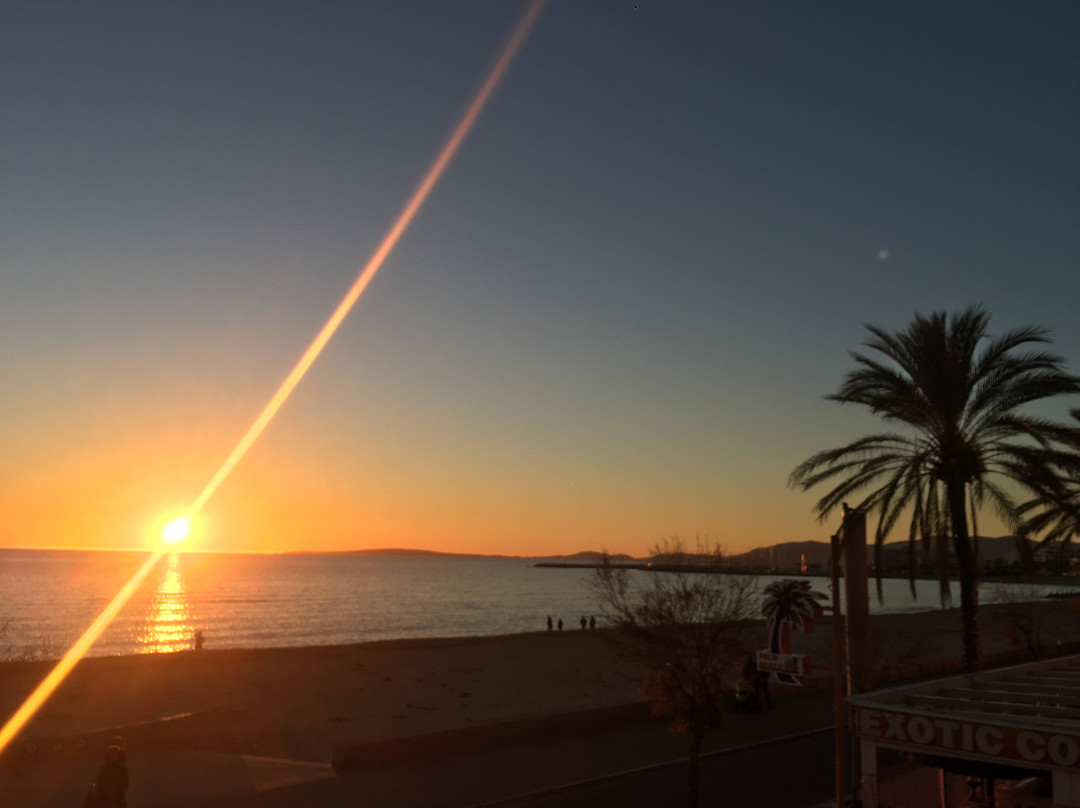 Clips Mallorca Cycling | bike rental Can Pastilla-坎帕斯蒂利亚必去景点
