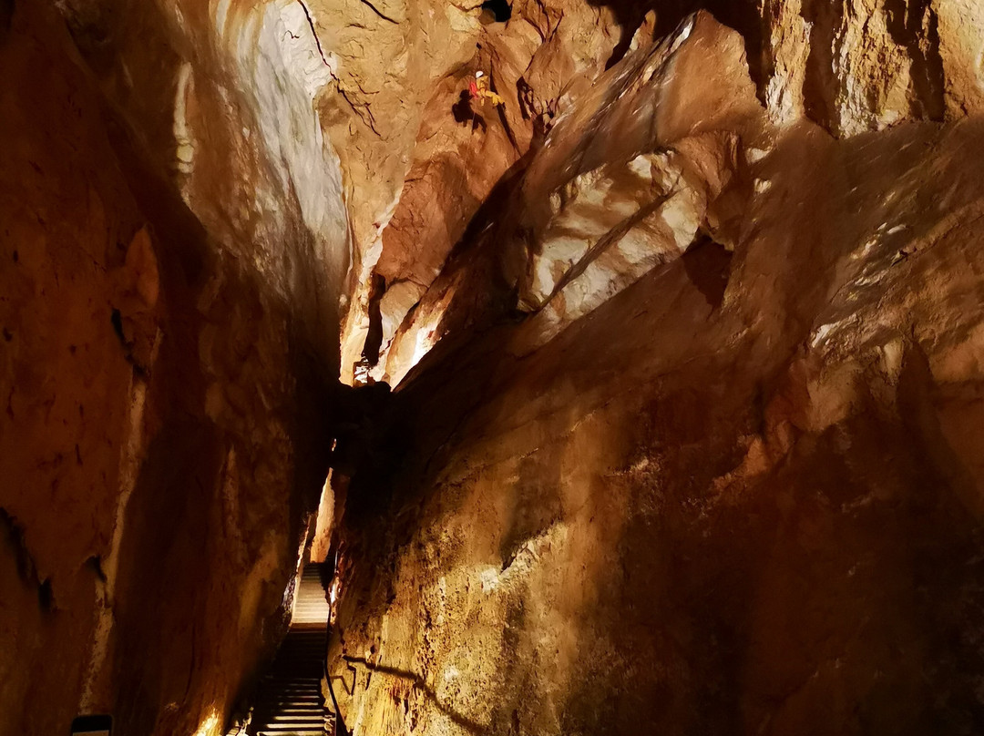 Mammoth Cave-上特劳恩必去景点