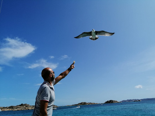 Goletta Silvia di Navarra-拉马达莱娜必去景点