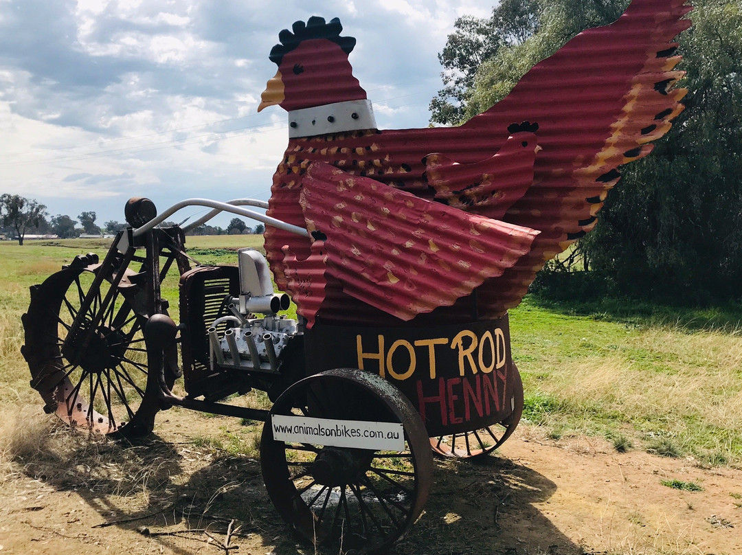 Animals on Bikes-Molong必去景点