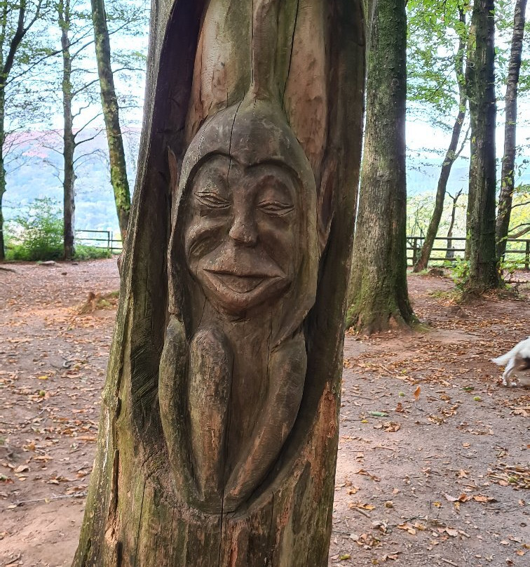 Fforest Fawr景点图片