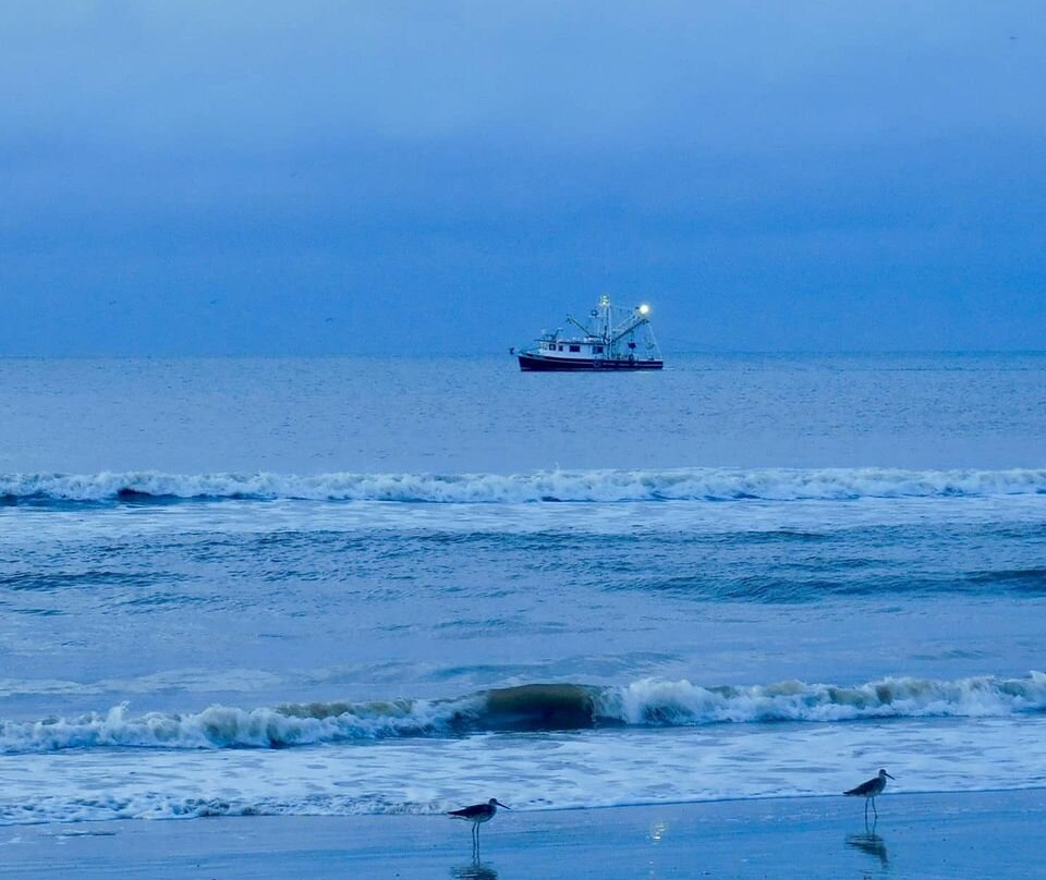 2nd Story Gallery And Studios-费尔南迪纳岛必去景点