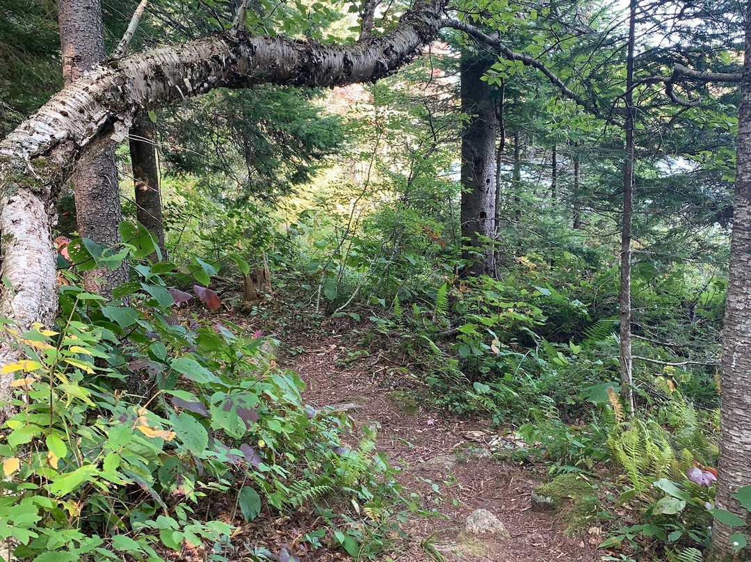 Woodford State Park-Woodford必去景点