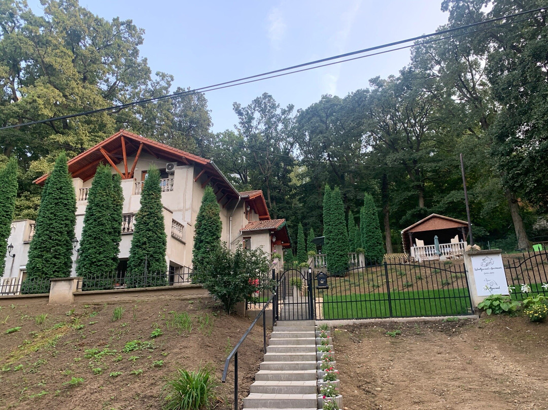 Woollywood Apartments