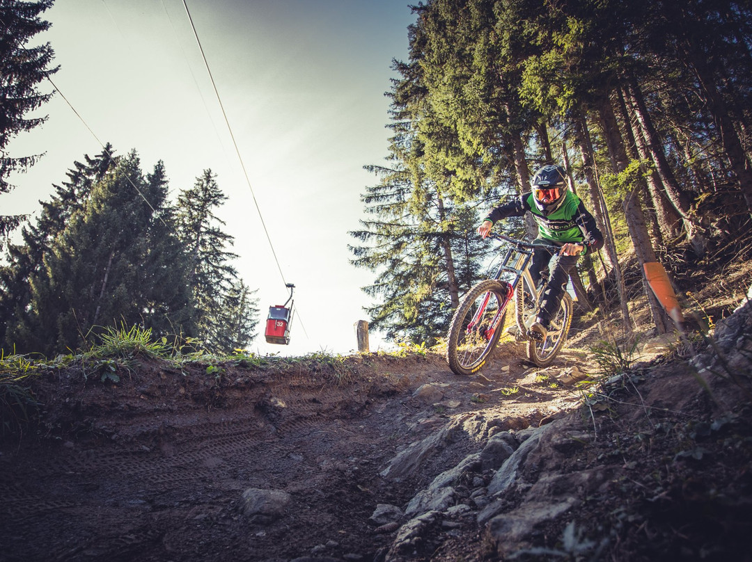Alpenbikepark Chur景点图片