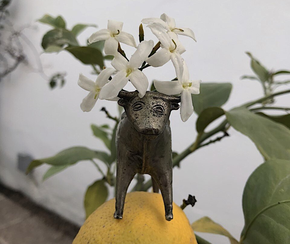 279 Bed+Breakfast主图