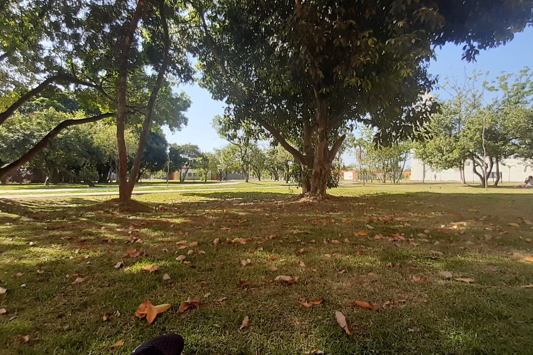 Parque Helena-圣保罗必去景点