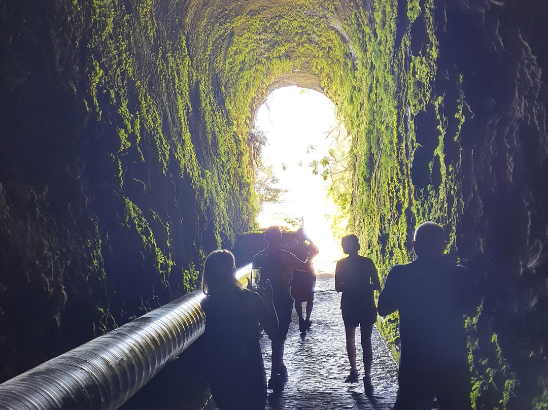 Madeira Adventure Kingdom-沙尔必去景点