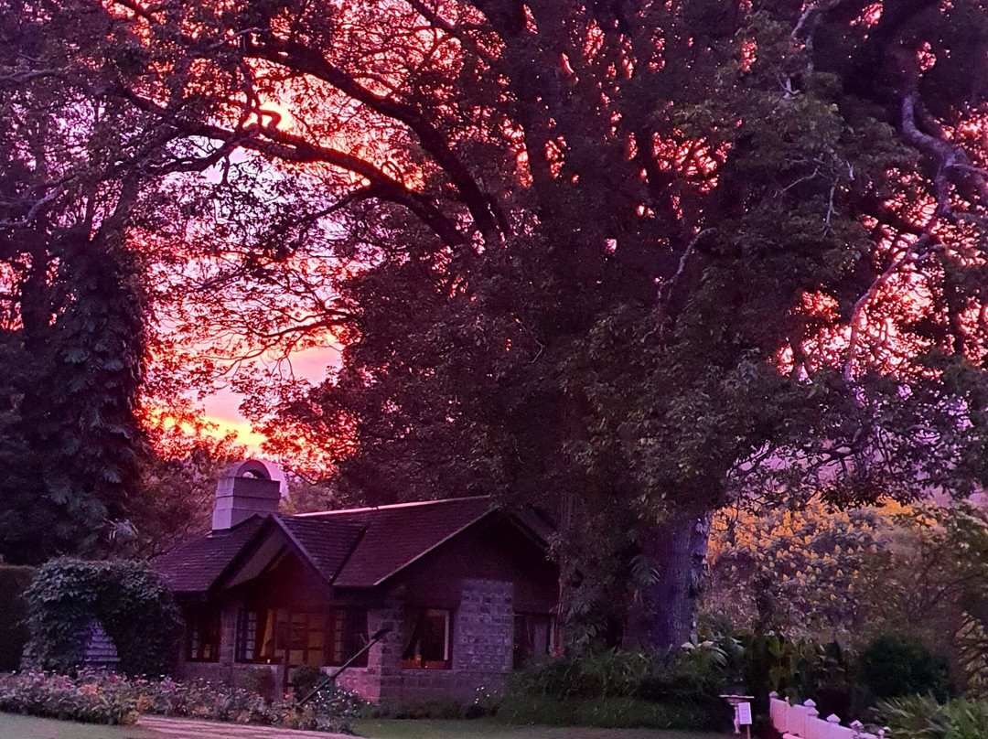 斯塔福德别墅酒店主图