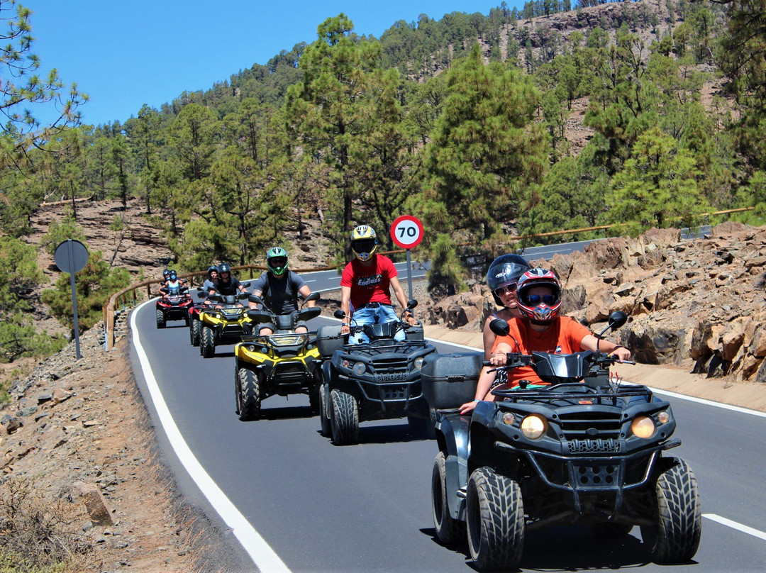 Quad Squad Tenerife-阿罗纳必去景点