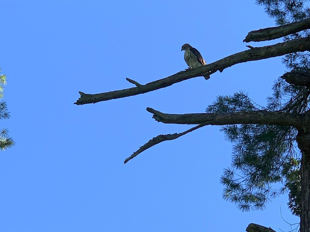 Riverside Cemetery-阿什维尔必去景点