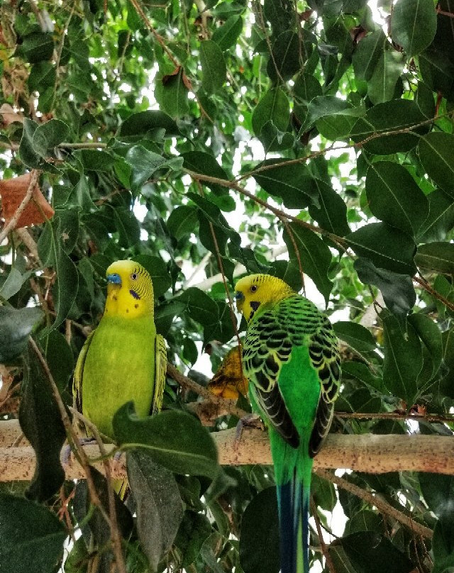 Butterfly House Sardegna-Olmedo必去景点