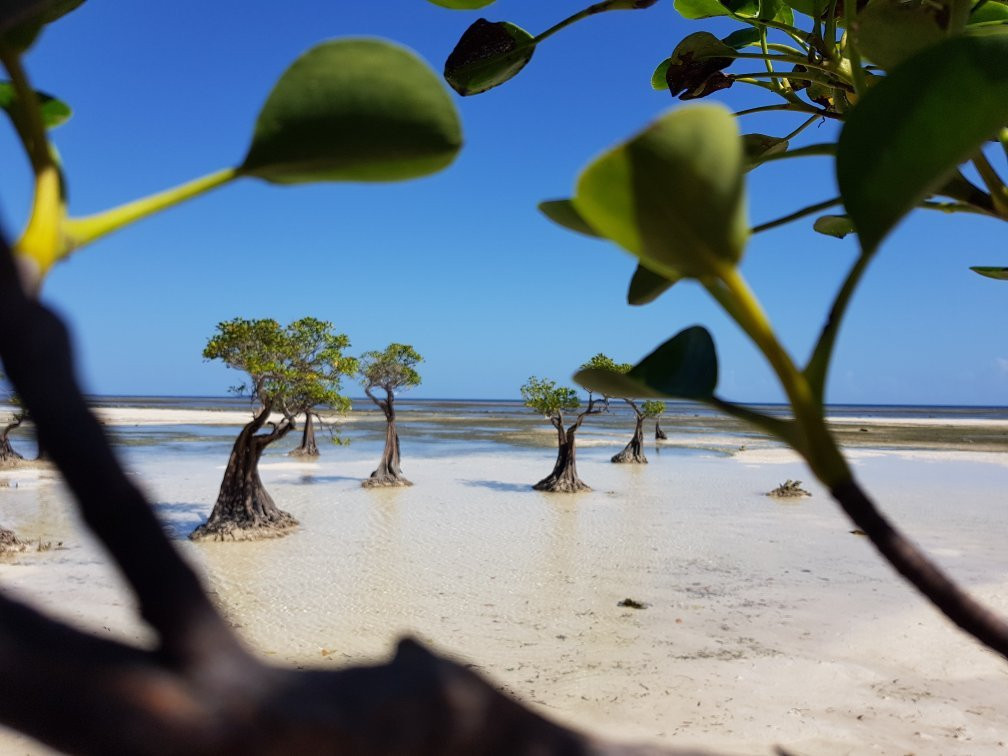 Walakiri Beach景点图片