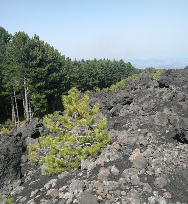 Etna Quad Adventure-林瓜格洛萨必去景点