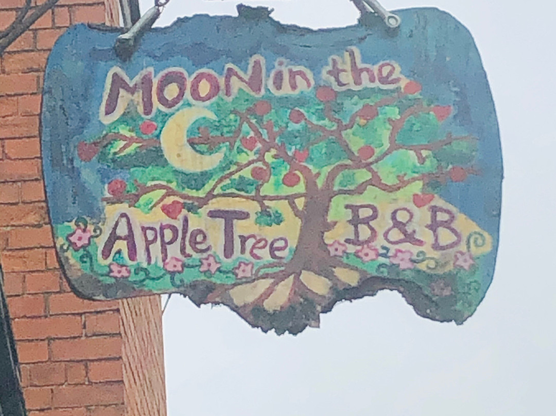 Moon in the Apple Tree B&B主图