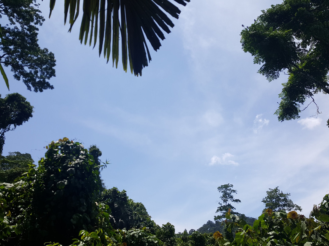 Ali's Waterfall-刁曼岛必去景点