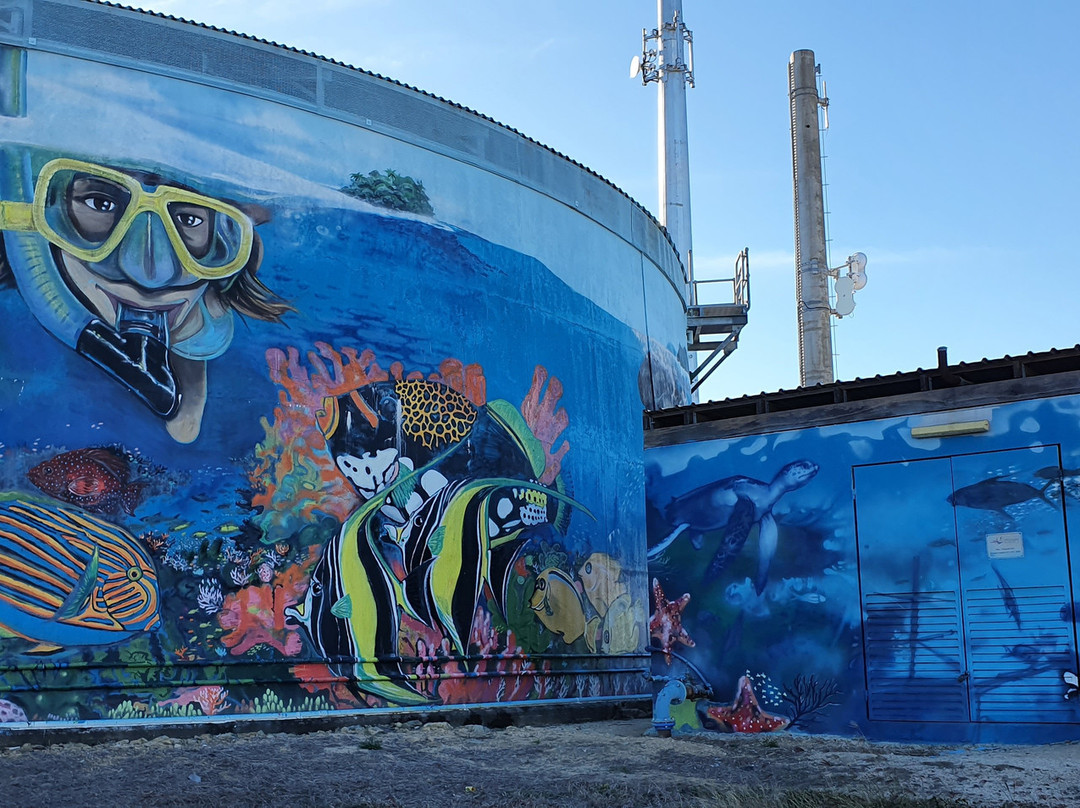 Watertank Murals景点图片