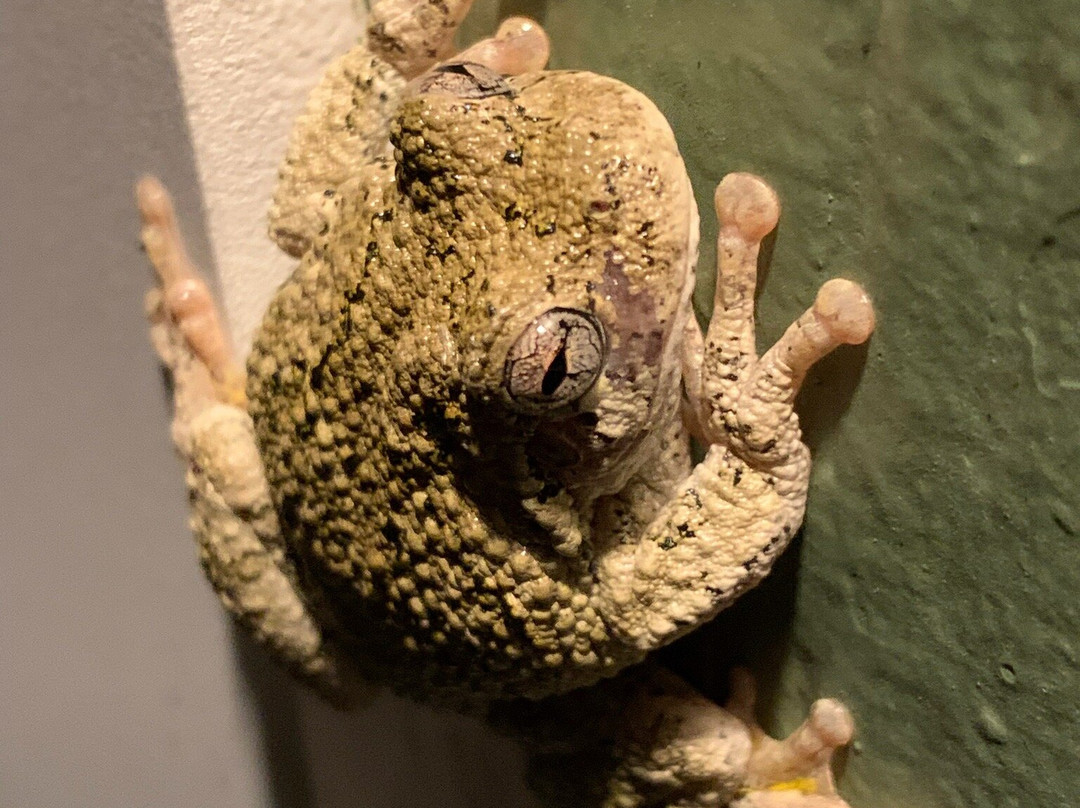 Jensen's RV Park and Motel主图