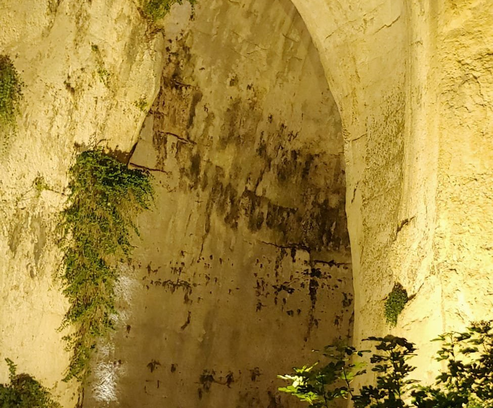 Serena Guida turistica Siracusa-锡拉库扎必去景点