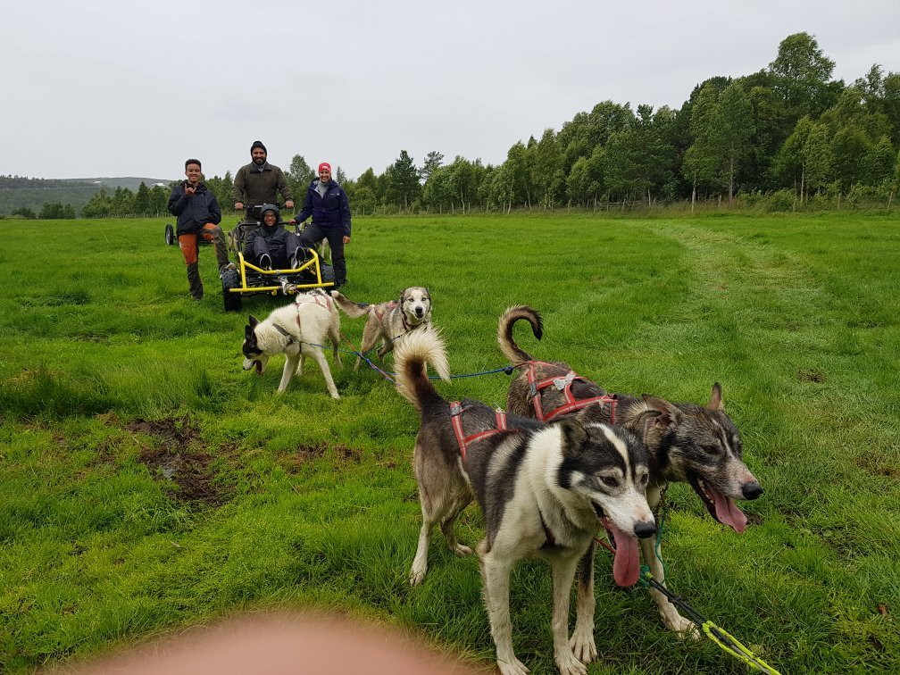 Trollheimen Husky-Rennebu Municipality必去景点