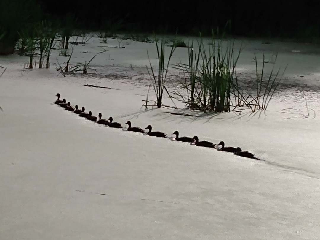 Parc de la Frayere-Boucherville必去景点