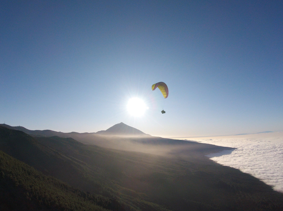 Paragliding Kangaroo Tandem-奥德杰海岸必去景点
