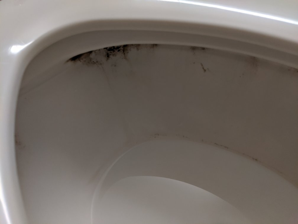 Best Western Plus Wakeeney Inn & Suites主图