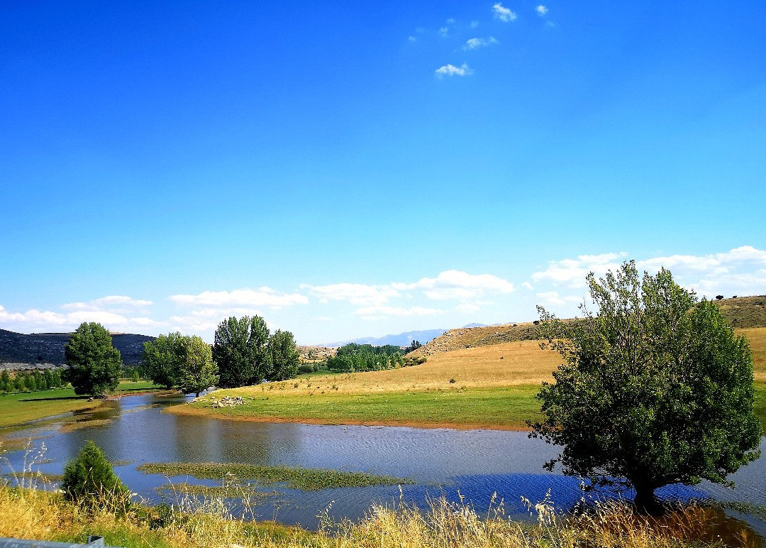 Hoces Del Rio Riaza Natural Reserve景点图片