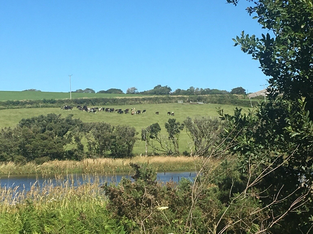 Tamar Lakes-布德必去景点