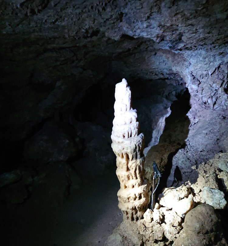 Grotte de Lastournelle景点图片