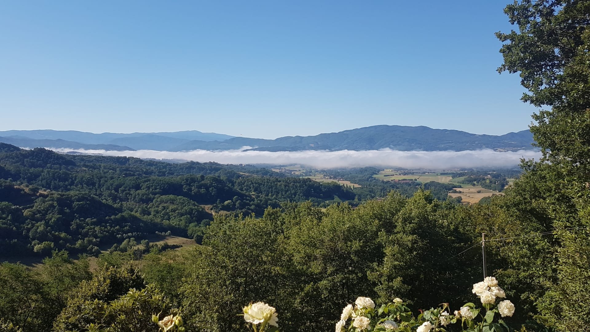 Mugello-官方