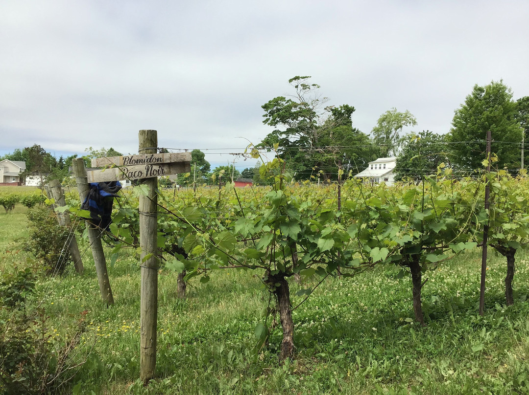 Blomidon Estate Winery景点图片