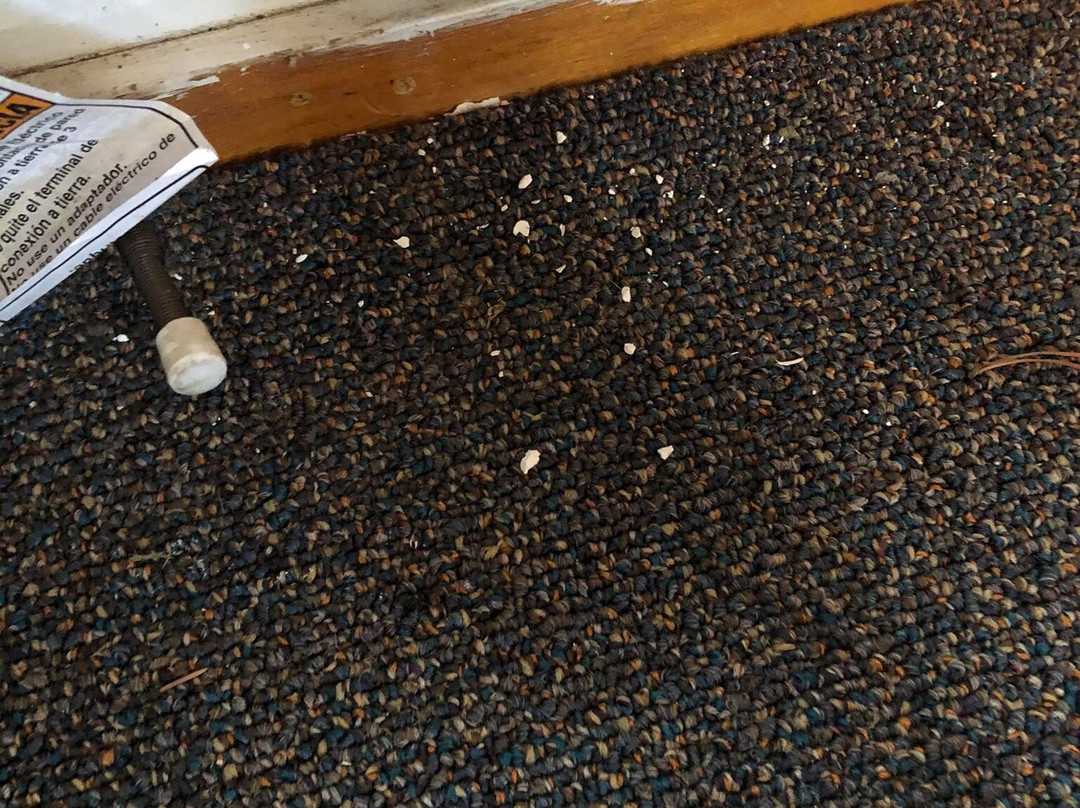 Middle Fork Motel and RV Park主图