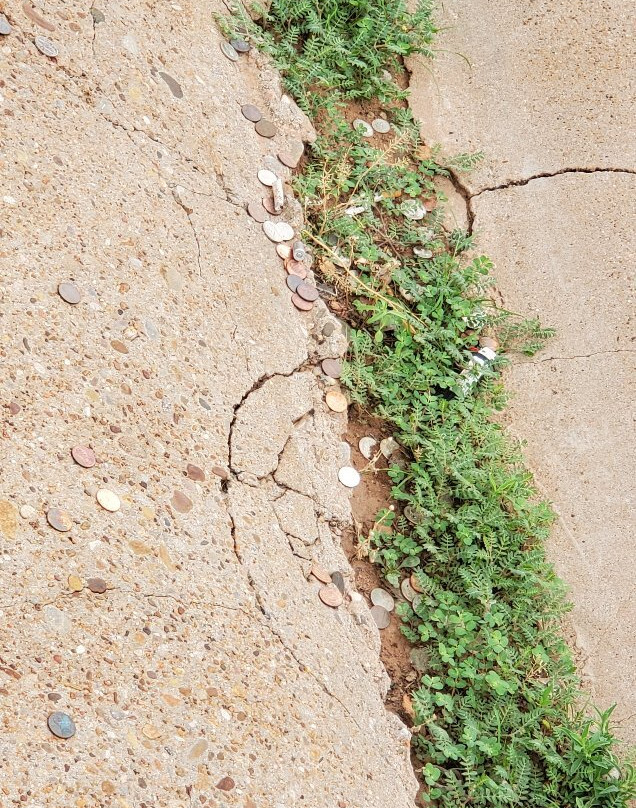 Billy the Kid’s Grave-Fort Sumner必去景点