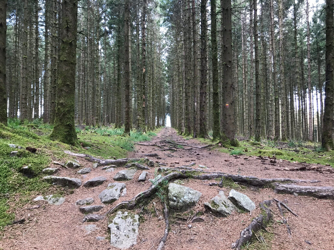 Espace Trail Des Monts De Guéret景点图片