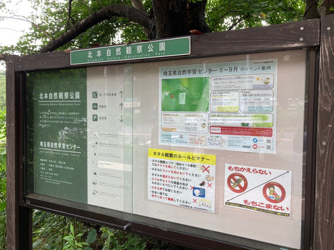Kitamoto Nature Observation Park-北本市必去景点