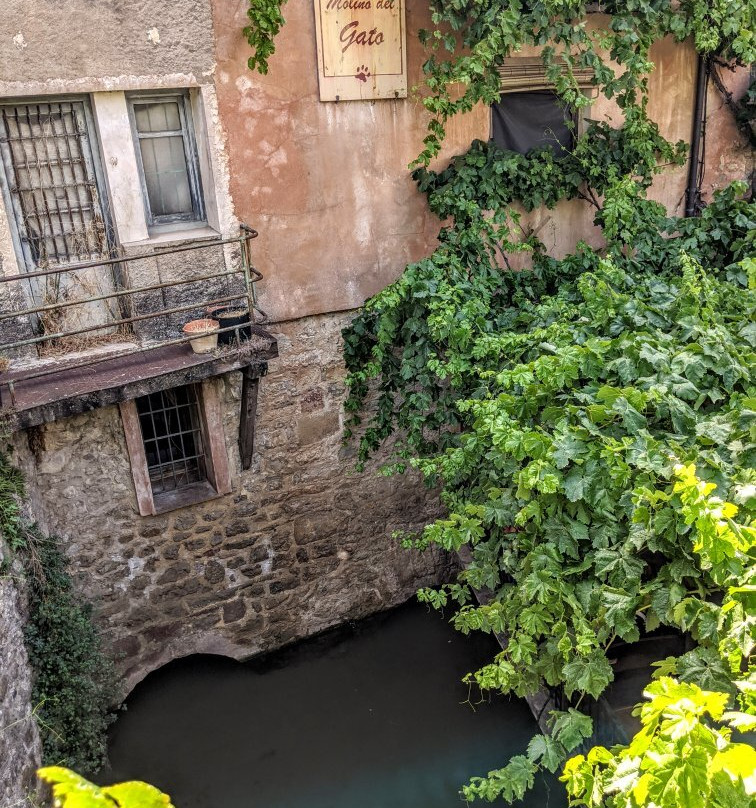 El Molino del Gato景点图片