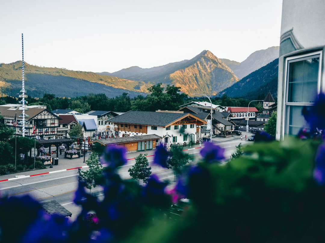 巴伐利亚旅舍主图