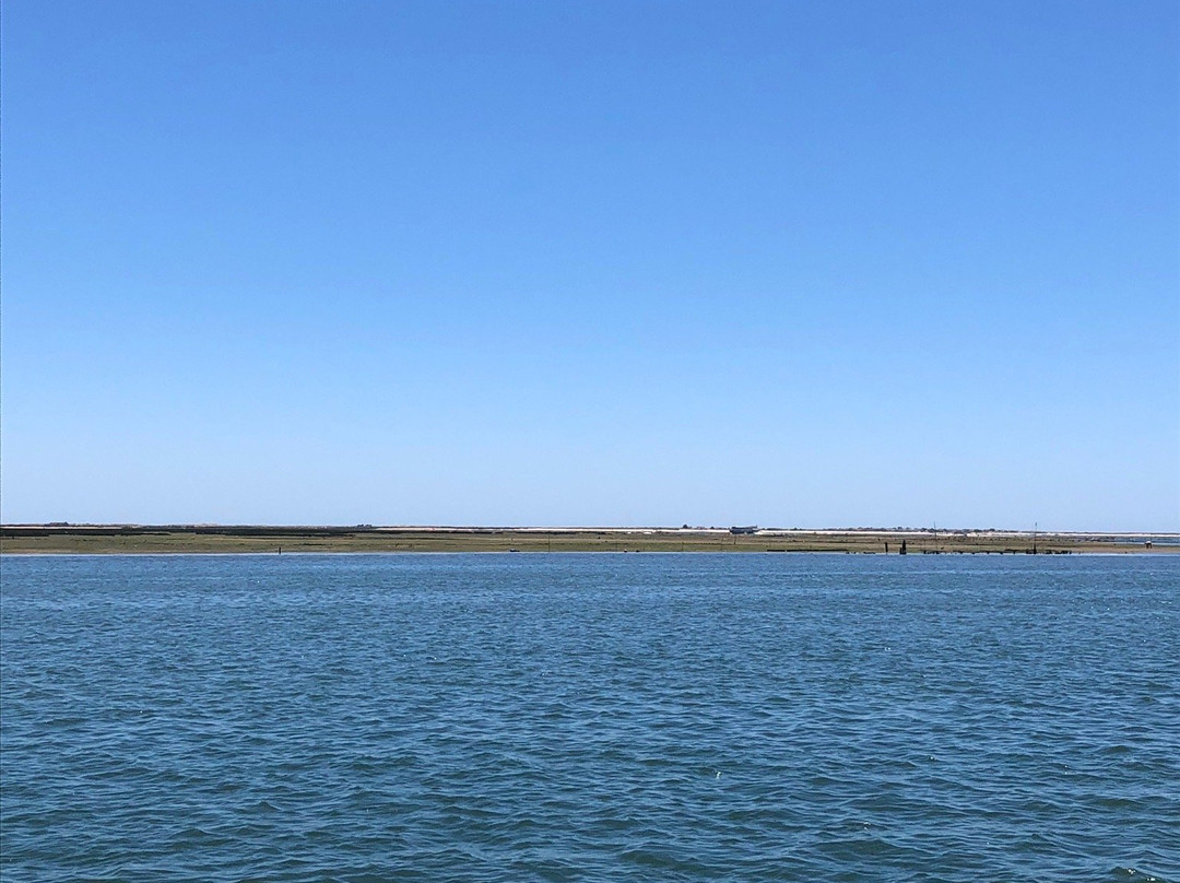 Ria Formosa Boat Tours - Algarve Day Trips景点图片